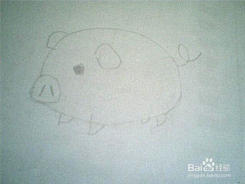 简笔画猪的画法: