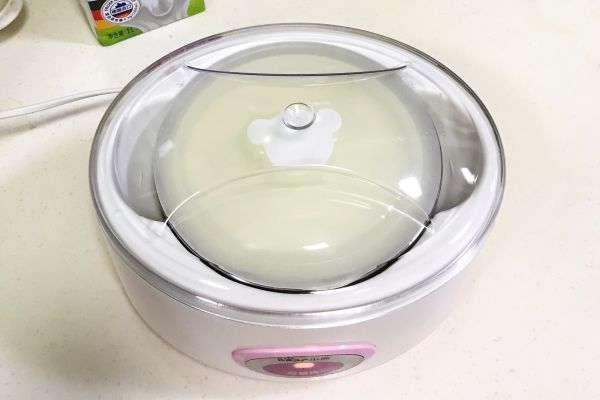 水果坚果谷物酸奶