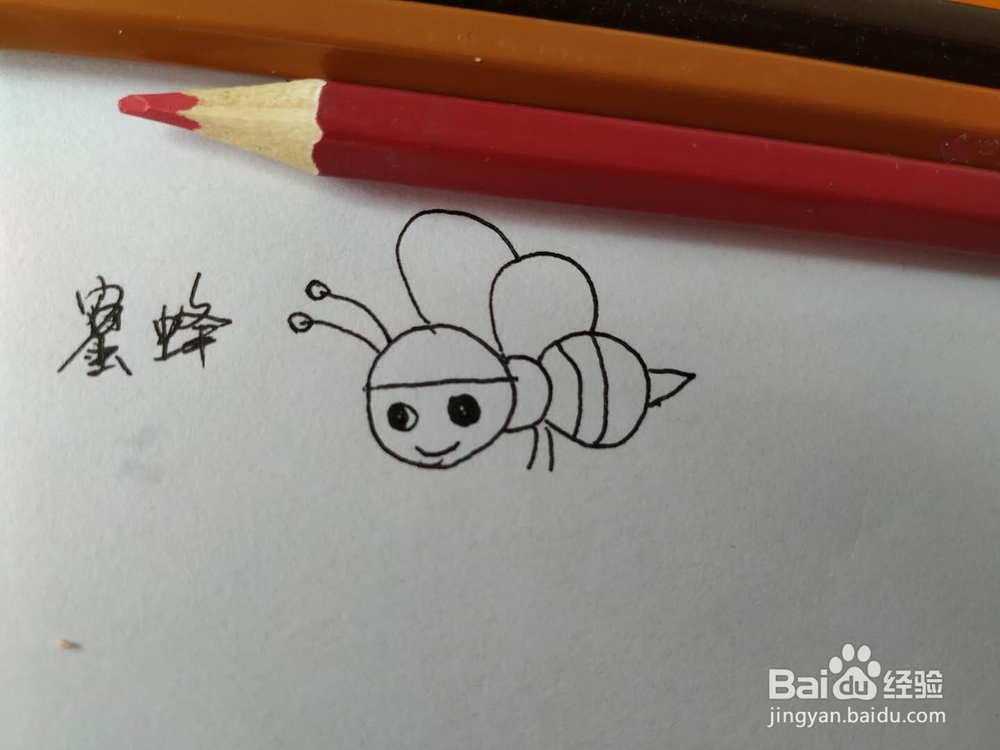 小蜜蜂简笔画怎么画,怎么画卡通小蜜蜂简笔画
