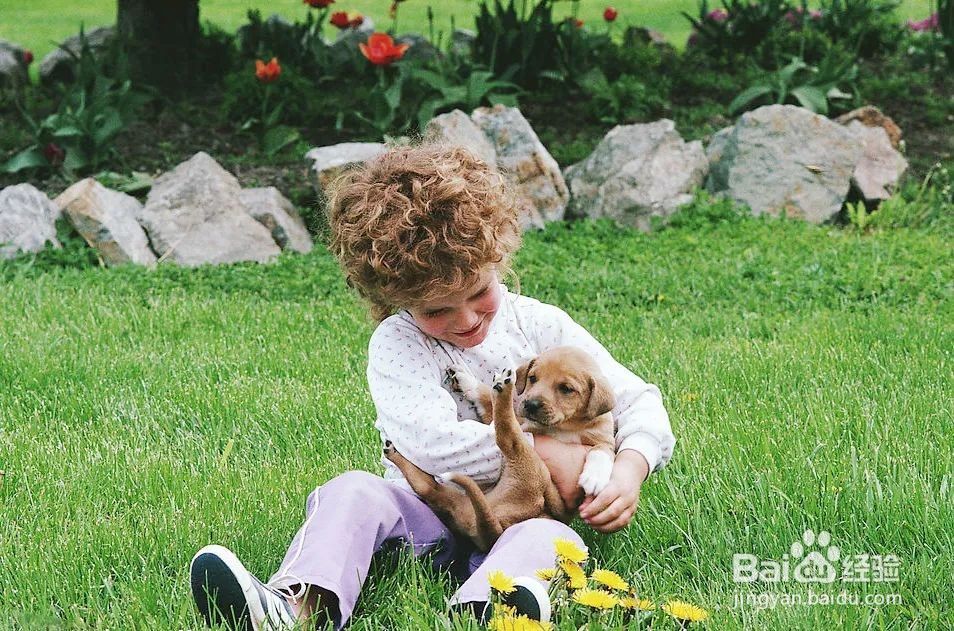 PS如何使用历史记录画笔制作手绘效果