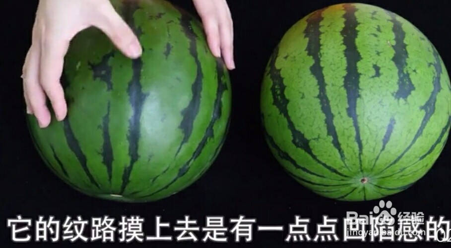 如何挑选又甜又新鲜的西瓜？