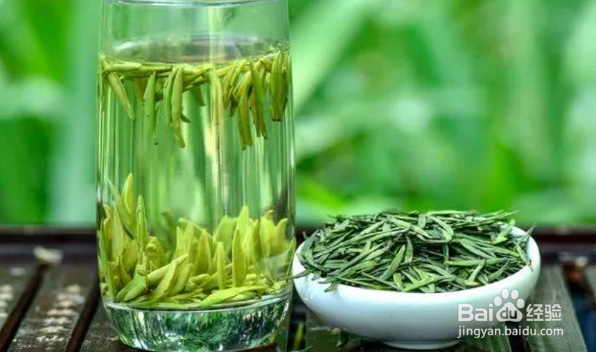 天目湖白茶怎么冲泡