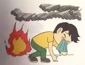 森林里发生火灾正确的做法是