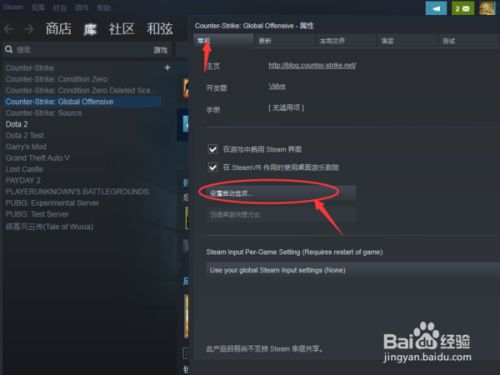 Csgo国服启动项如何设置 百度经验