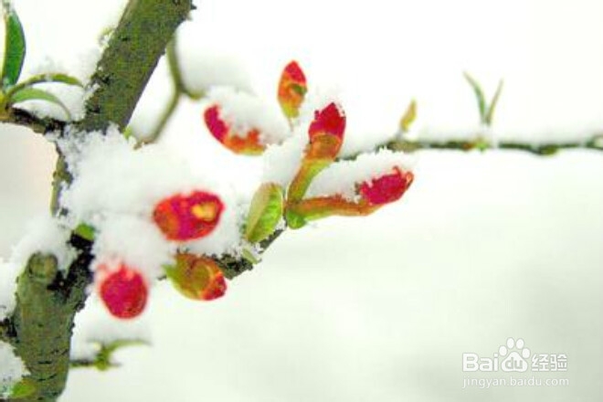 如何提高个人素质