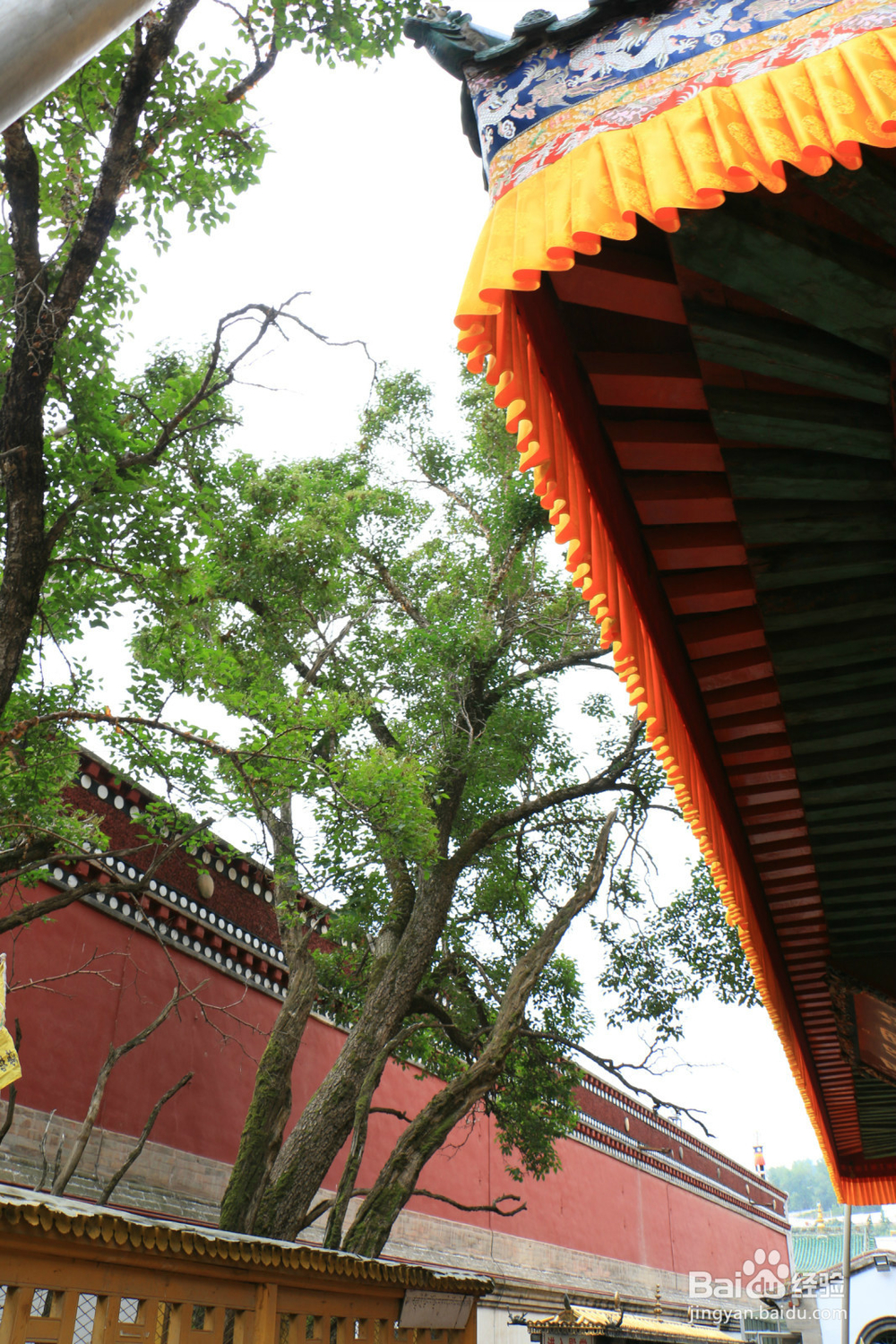 青海甘肃丝绸之路大环线真美