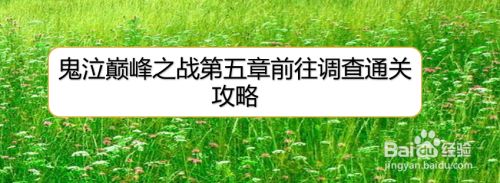鬼泣巅峰之战第五章前往调查通关攻略