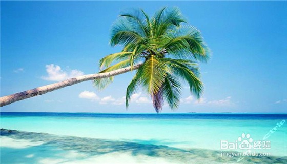 去三亚旅游有哪些防坑指南