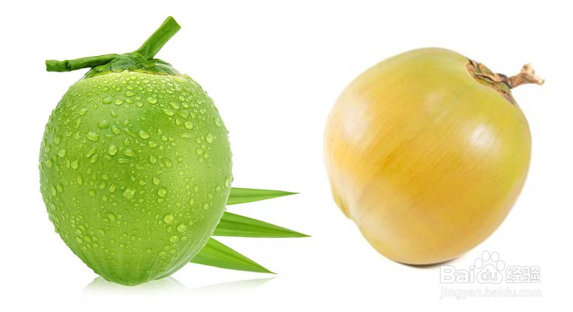 怎么挑选椰子比较甜,椰子的挑选技巧