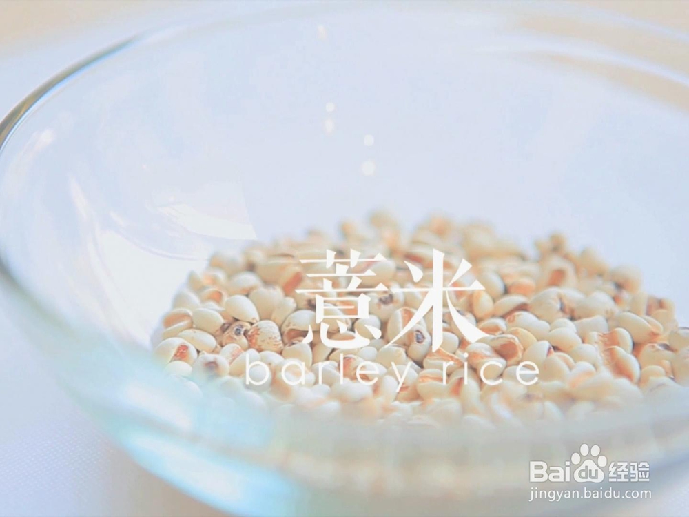 简单好吃的柠檬薏米水