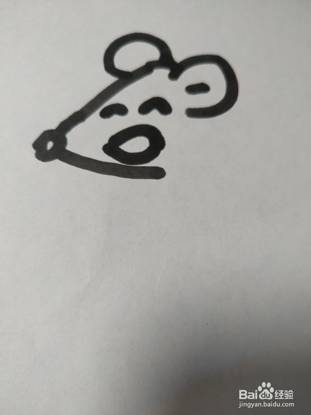 老鼠的简笔画技法38