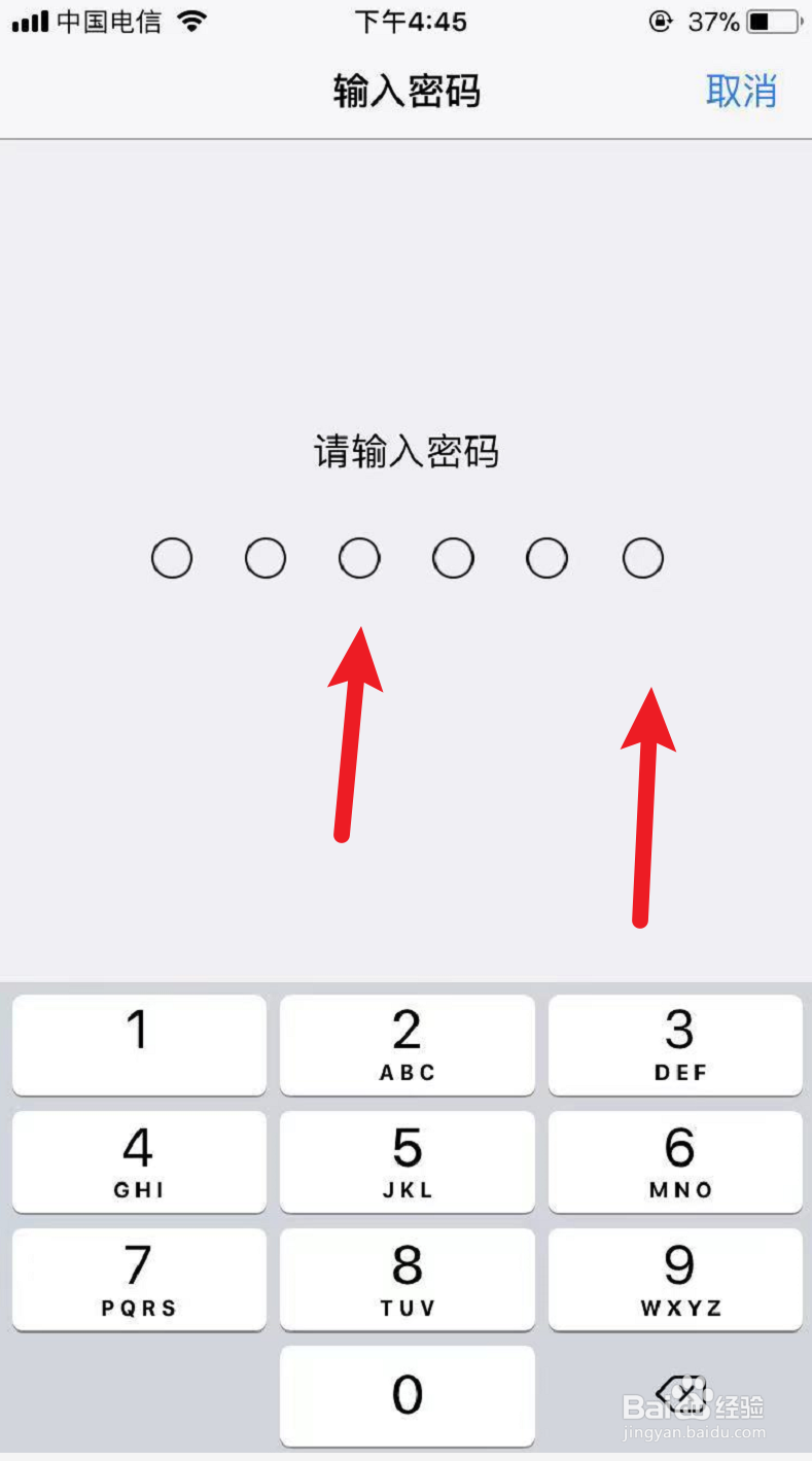 苹果手机有指纹锁吗