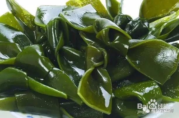 六个小知识帮助你改善血液循环