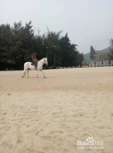 玫瑰海岸出行攻略