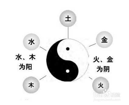 中国传统文化有哪些学派