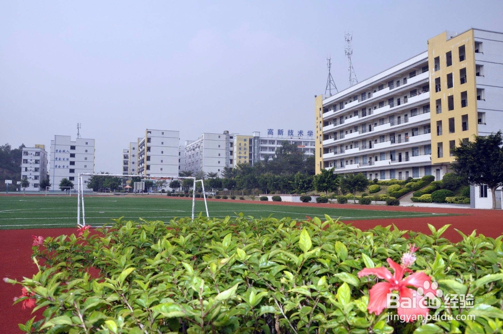 写一封高效的求职信，需要三个重点。