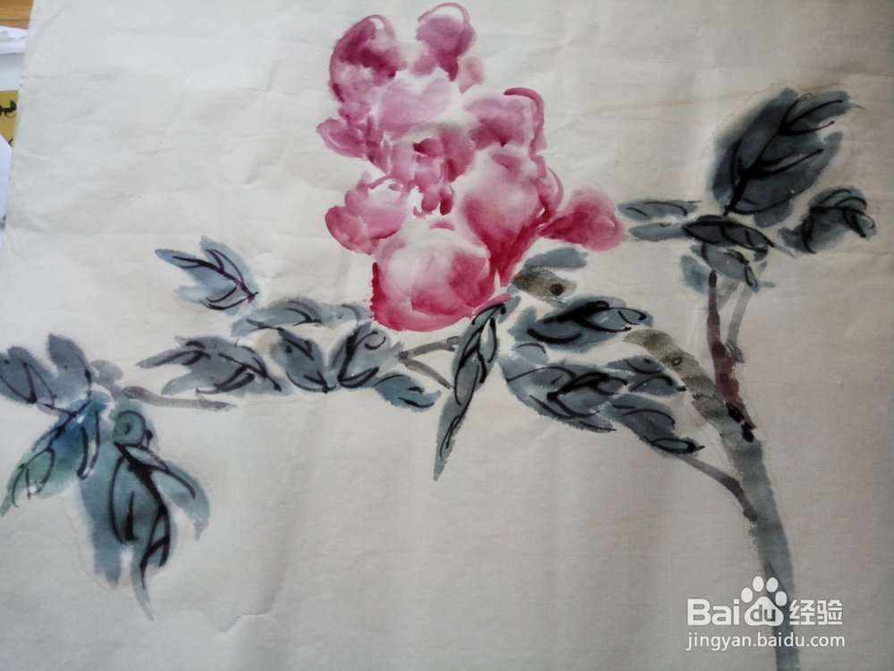 半开折枝牡丹的写意画法