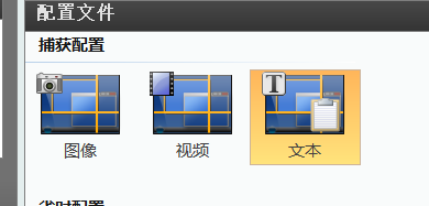 如何复制WINDOWS窗体中的文本