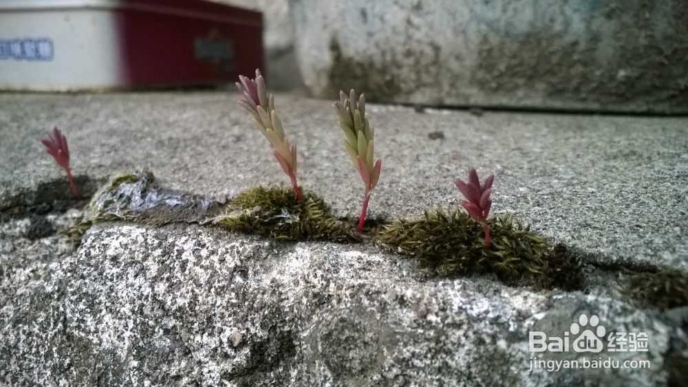 女孩微信朋友圈自拍怎么评论