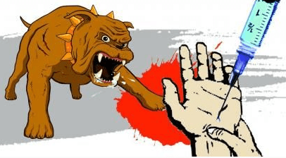 被狗咬了怎么办?