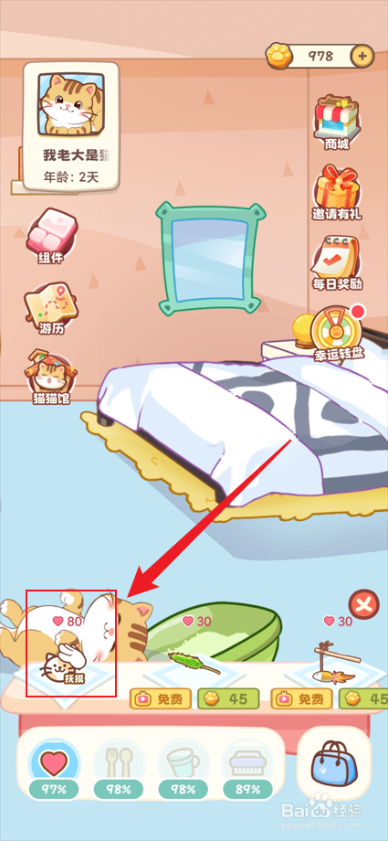 桌面喵app如何抚摸小猫