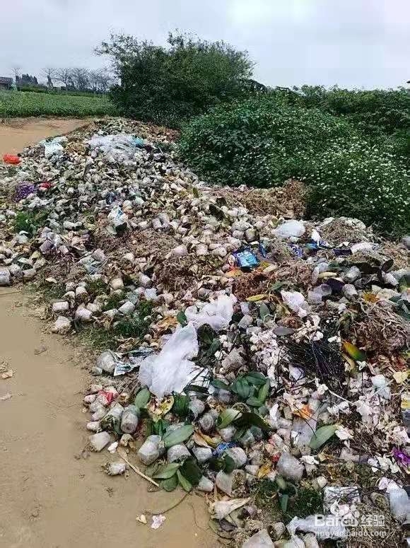 垃圾桶里一堆“贵货”花，丢人也要捡