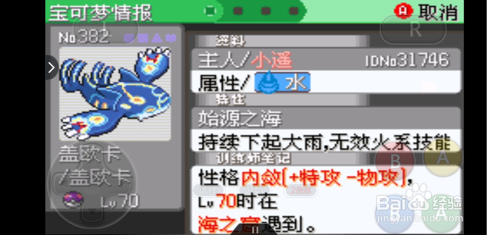 口袋妖怪雨天队介绍