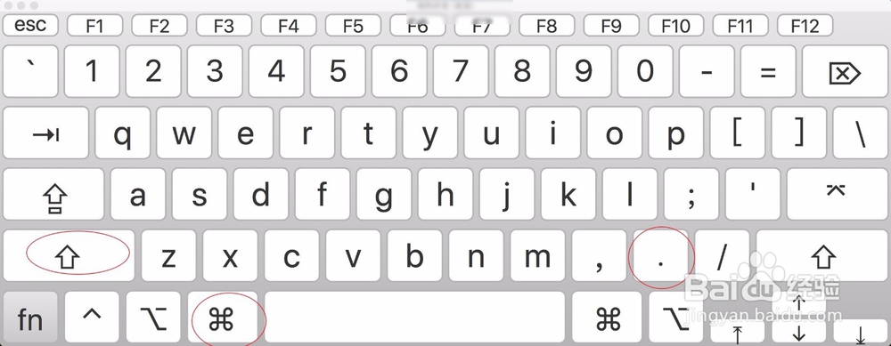 苹果Mac OS X显示隐藏文件的方法