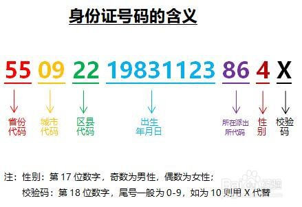 EXCEL怎样通过身份证号码快速提取生肖信息