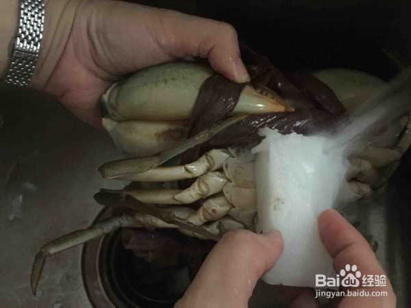 青蟹的做法?清蒸青蟹要蒸几分钟?