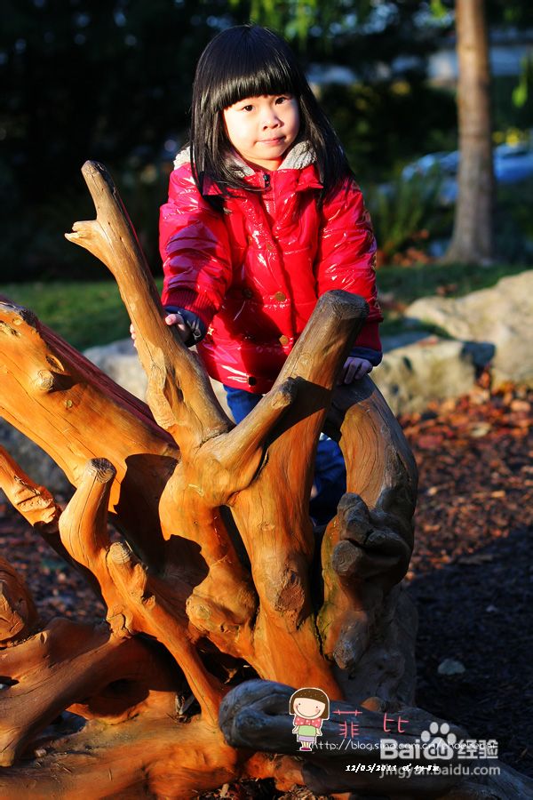 懒人菜蒜蓉烤青口&菲比喂小松鼠