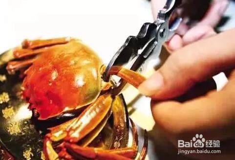 秋天到了,如何正确地吃大闸蟹?