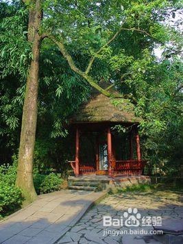 在时间紧急的情况下来成都旅游的攻略