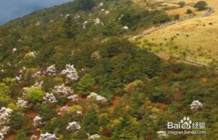 玉龙雪山怎么玩？