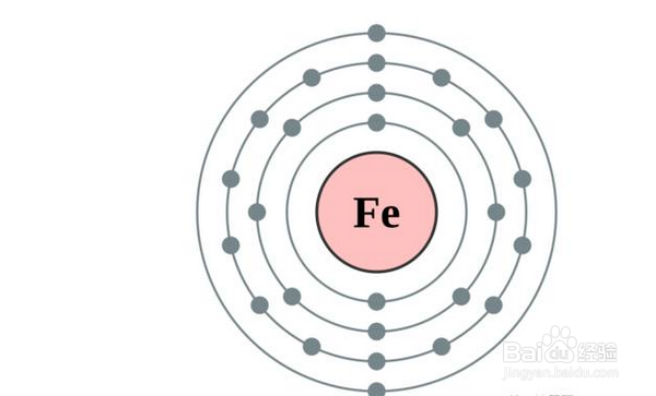 杏鲍菇的营养价值