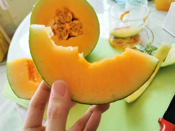 蜜桃乌龙水果茶