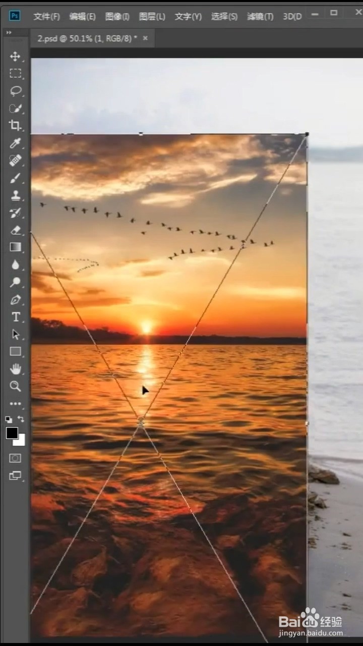 如何用PS一秒换背景？