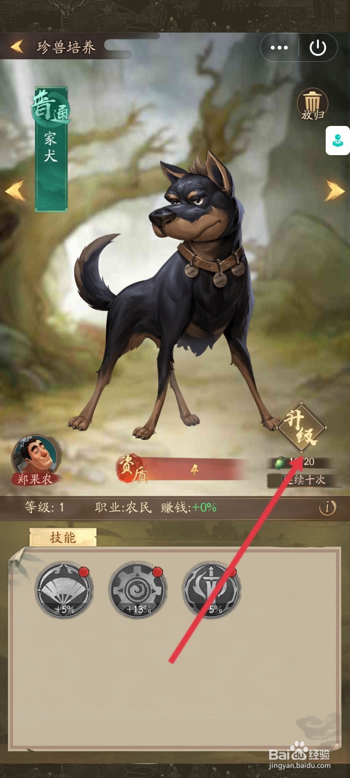 叫我大掌柜怎么升级家犬珍兽