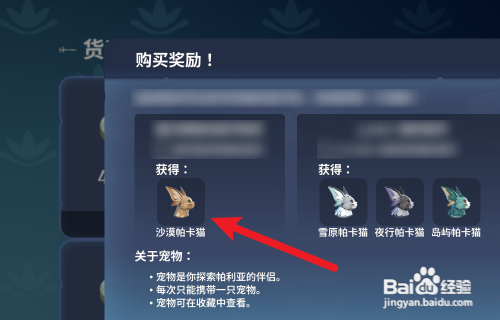 Palia帕里亚怎么获得宠物猫