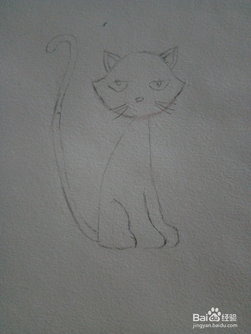 幼儿简笔画小猫的画法