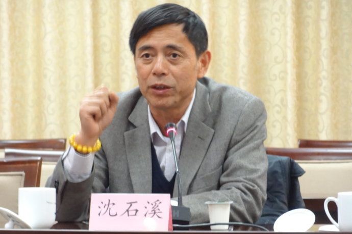 沈石溪的虎娃金叶子的主要内容是什么