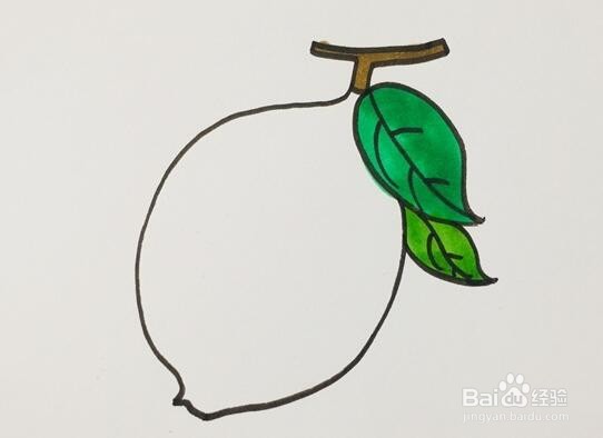 柠檬的简笔画