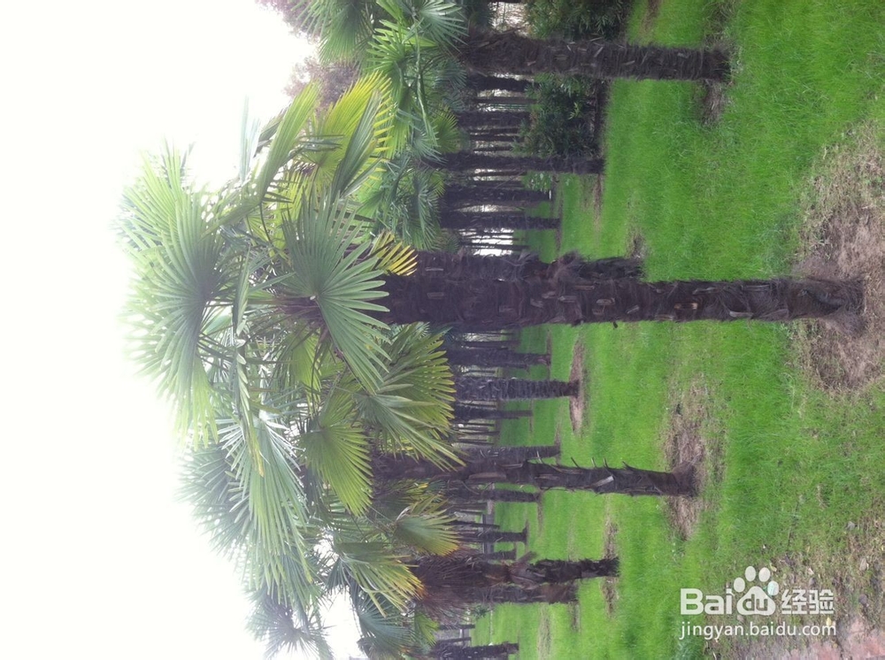 如何在冬季进行早锻炼，让心情愉悦