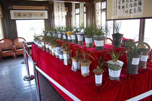 春节期间怎样选购普陀山特产