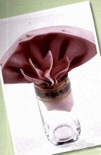 餐巾的折花大全