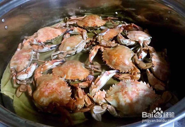 极其美味的清蒸花盖蟹
