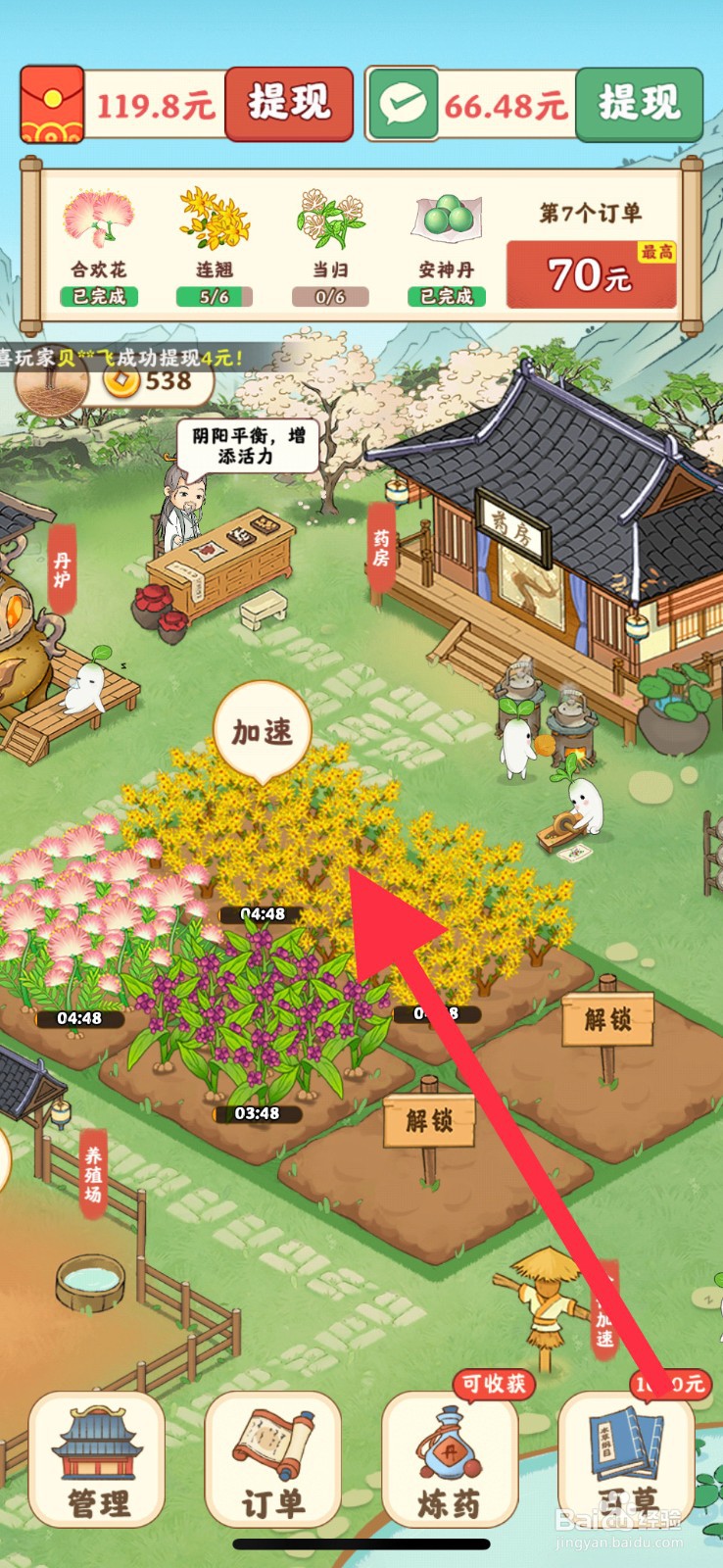 杏林世家手游连翘如何去种植