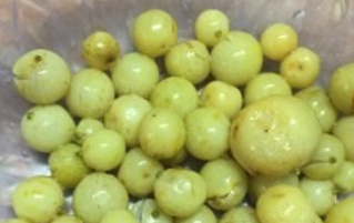 黄皮鸭的做法