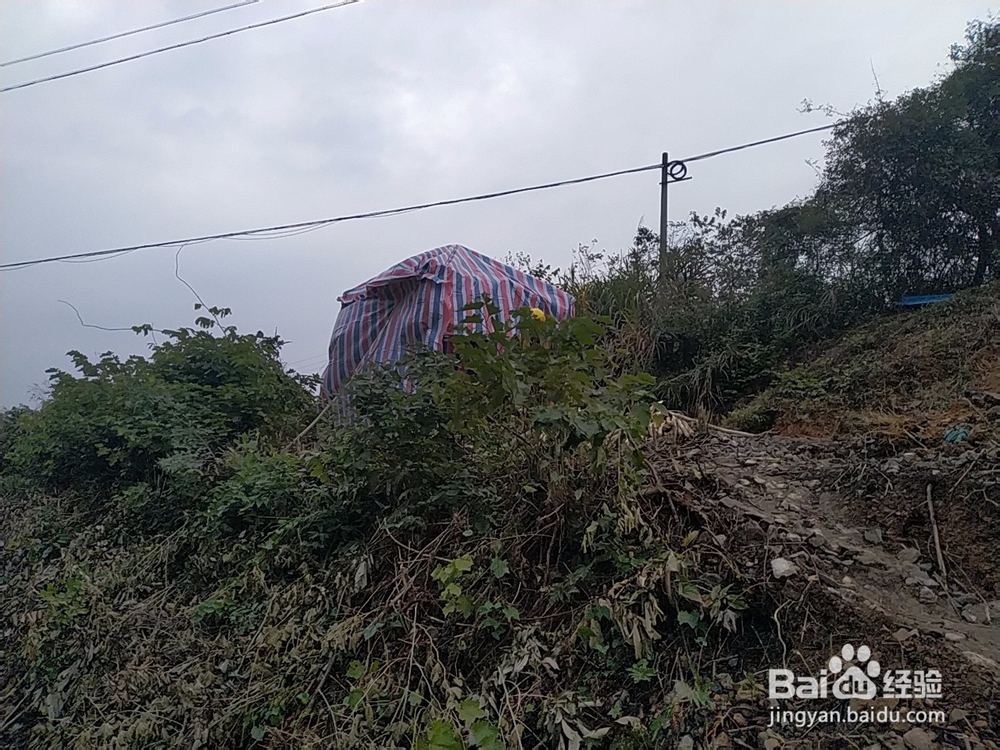 工地施工要做好哪些安全措施？