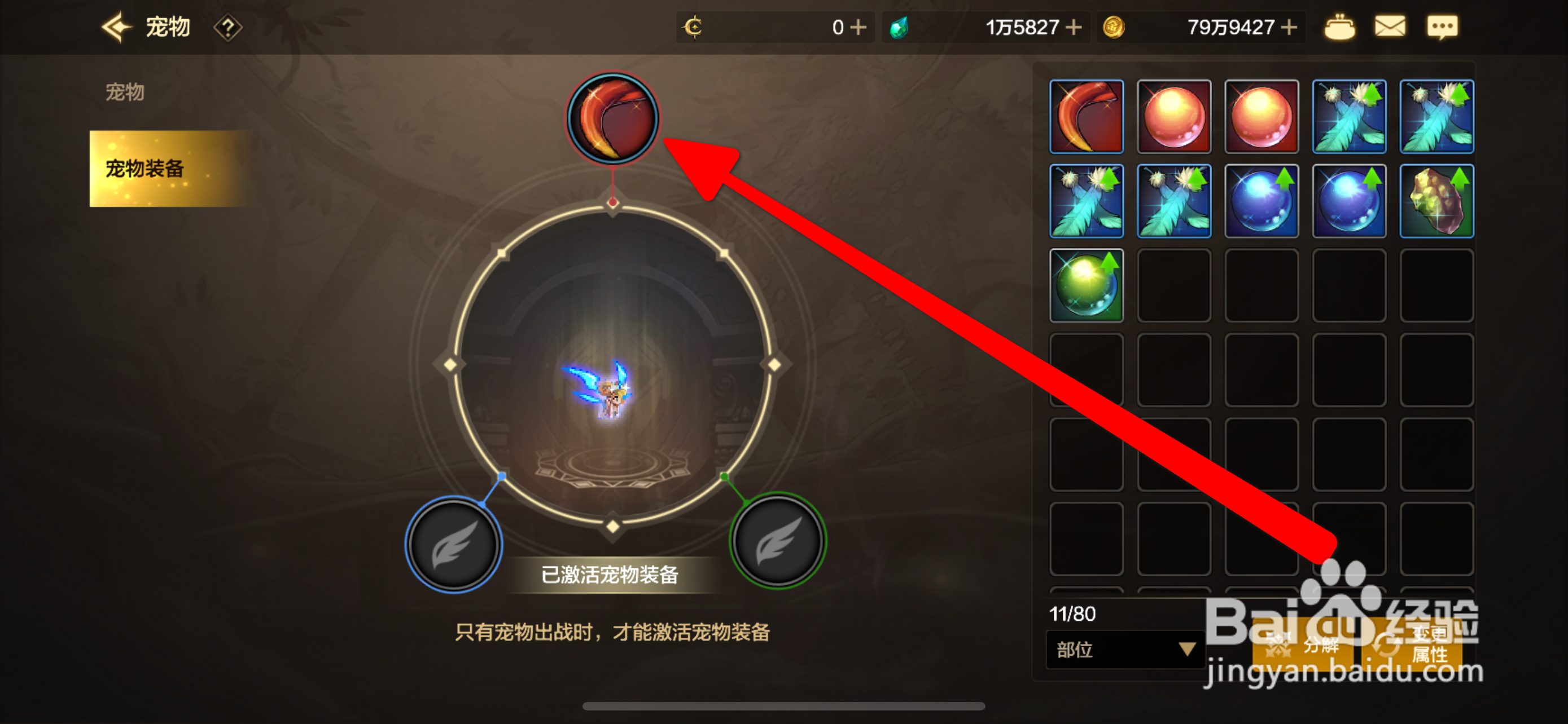 DNF手游宠物装备佩戴攻略
